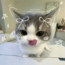 🐈　miau　𖨂　gws　guilds avatar