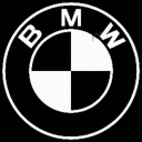 Bmw Guild .gg/bmwguild Discord Server Icon
