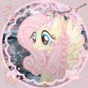 🌸　ノfluttershy　୨୧　tagsㆍgiveαwαysㆍsociαl