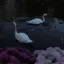 /voidguild {Swan}