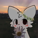 Discovery icon for silly tag Discord server