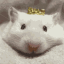 Ratz avatar
