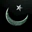 TAG › Pakistan #official