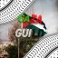 Gaza Guild Backup