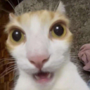 The guhthering avatar