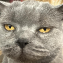 Discovery icon for LAZY TAG | Social • Tags • Emojis • Guilds Discord server