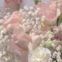 .gg/freak (love)