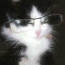 kitty avatar