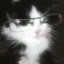 kitty