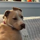 Murder Z Studios avatar