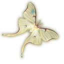 rokkenjima | 21+ Discord server icon