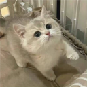 Glitched Da Kitty Cat Production's Tag avatar