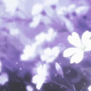 visitant Discord server icon