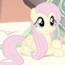 lamb ◞ /lamb banner