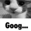 (revival arc) Goog Central (GOOG)