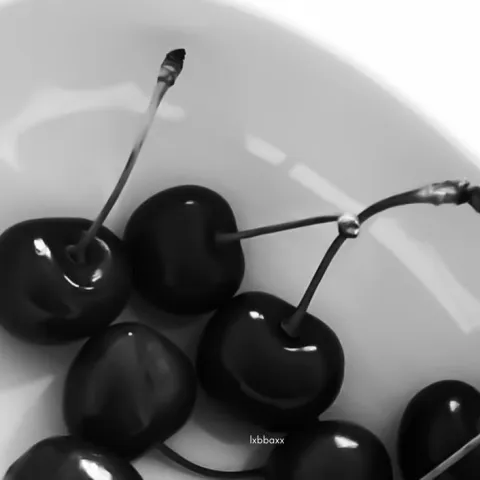 ˖.🪽/pxguild banner