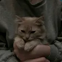 Nas's server Discord server icon