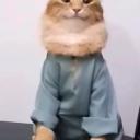 His Tag | Pink Heart avatar