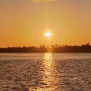 ♕✞ Discord server icon