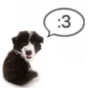 🐾 Pup Tag︱Socialize︱Share Art︱16+ 🦴