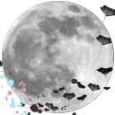 ☽⋆.ೃ࿔*:･𝓗𝓮𝓪𝓻𝓽𝓯𝓮𝓵𝓽 𝓦𝓲𝓼𝓱𝓮𝓼⋆.ೃ࿔*:･☾