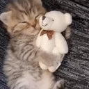 🕷 tag | discord.gg/july