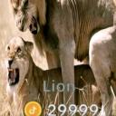 PR0J3CT D1DDY avatar