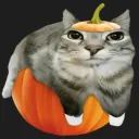 🎃 BOO! (Tag Server) 🎃