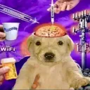 𝗫𝗢𝗫𝗢 | XOXO TAG! banner