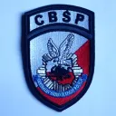 Centralne Biuro Śledcze Policji