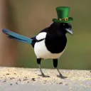 Magpie Mafia [BIRD]