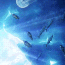 ⌒⌒　aquatic yume café　🪼