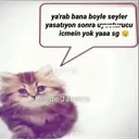 scammerzyn