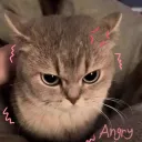 xx