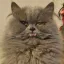 Smol Smol The Persian Cat