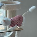 ღ₍ˆ ̳ , ̫ , ̳ˆ₎