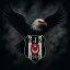 Beşiktaş JK #Kara Kartal #4.3K