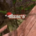 REESE'S Comp Team
