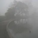 /went for a walk
