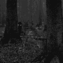 In The Meadows Discord server icon