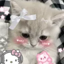 ✨ 𝑲𝑰𝑻𝑻𝑬𝑵 𝑺𝑶𝑪𝑰𝑬𝑻𝒀 ✨
