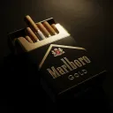 Marlboro | Majestic