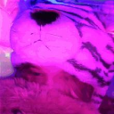 [moonlit vc] Discord server icon