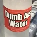 DUMBASS clan©