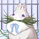 ⋆｡｡˚ ☁ 雲朵之上˚｡⋆｡˚☽˚｡⋆