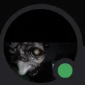 Jfk sting op