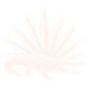 Project Alachua Discord Server Icon