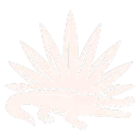 Project Alachua