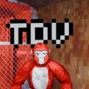 TDV OFFICAL DISCORD SERVER