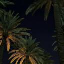 LA